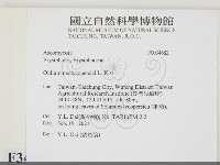 登錄號:F0034682藏品圖，第2張
