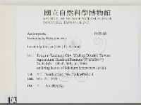 登錄號:F0034683藏品圖，第2張