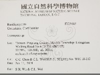 登錄號:F0034685藏品圖，第2張