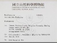 登錄號:F0034687藏品圖，第2張