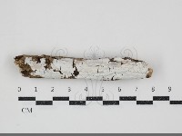 登錄號:F0034687藏品圖，第1張