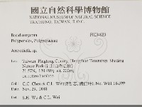 登錄號:F0034689藏品圖，第2張