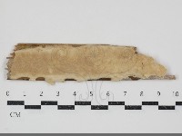 登錄號:F0034689藏品圖，第1張