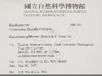登錄號:F0034691藏品圖，第2張
