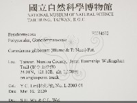 登錄號:F0034692藏品圖，第2張