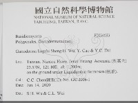 登錄號:F0034693藏品圖，第2張