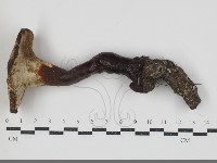 登錄號:F0034693藏品圖，第3張