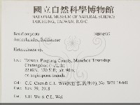 刺皮菌屬藏品圖，第2張