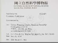 登錄號:F0034697藏品圖，第2張