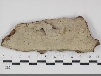 登錄號:F0034697藏品圖，第1張