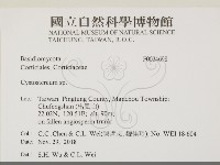 登錄號:F0034698藏品圖，第2張