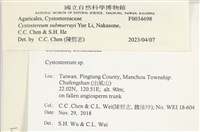 登錄號:F0034698藏品圖，第3張