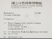 登錄號:F0034700藏品圖，第2張