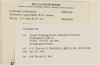 登錄號:F0034700藏品圖，第4張