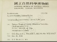 登錄號:F0034701藏品圖，第2張