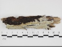 登錄號:F0034701藏品圖，第1張