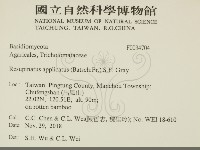 登錄號:F0034704藏品圖，第2張