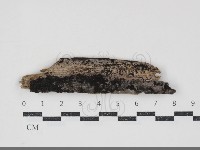 登錄號:F0034704藏品圖，第1張