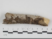 登錄號:F0034705藏品圖，第1張