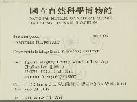 登錄號:F0034706藏品圖，第2張