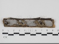 登錄號:F0034706藏品圖，第1張