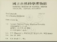 刺皮菌屬藏品圖，第2張