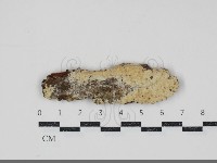 登錄號:F0034708藏品圖，第1張