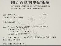 登錄號:F0034709藏品圖，第2張