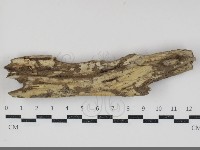 登錄號:F0034709藏品圖，第1張