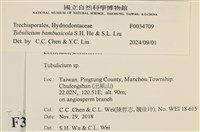 登錄號:F0034709藏品圖，第3張