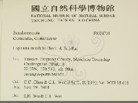 登錄號:F0034710藏品圖，第2張