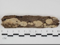 登錄號:F0034710藏品圖，第1張