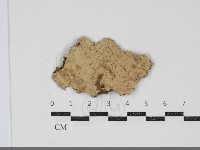 登錄號:F0034711藏品圖，第1張