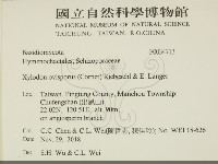 登錄號:F0034713藏品圖，第2張