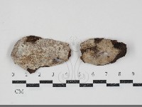 登錄號:F0034715藏品圖，第1張