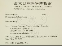 登錄號:F0034717藏品圖，第2張