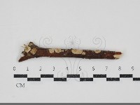 登錄號:F0034717藏品圖，第1張