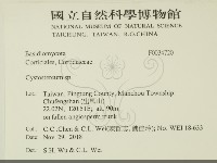 登錄號:F0034720藏品圖，第2張