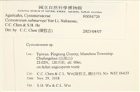 登錄號:F0034720藏品圖，第3張