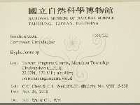 絲皮菌屬藏品圖，第2張