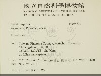 登錄號:F0034723藏品圖，第2張