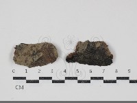 登錄號:F0034723藏品圖，第1張