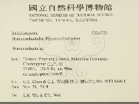 刺革菌屬藏品圖，第2張