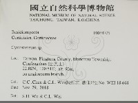 登錄號:F0034725藏品圖，第2張