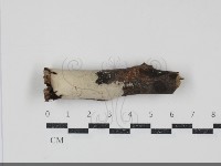 登錄號:F0034725藏品圖，第1張