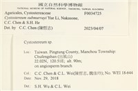 登錄號:F0034725藏品圖，第3張