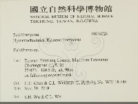 登錄號:F0034726藏品圖，第2張