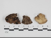 登錄號:F0034729藏品圖，第1張