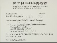 登錄號:F0034730藏品圖，第2張