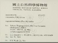 登錄號:F0034732藏品圖，第2張